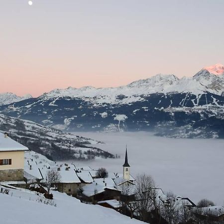 Studio Cosy Vallee De Tarentaise La Plagne Buitenkant foto